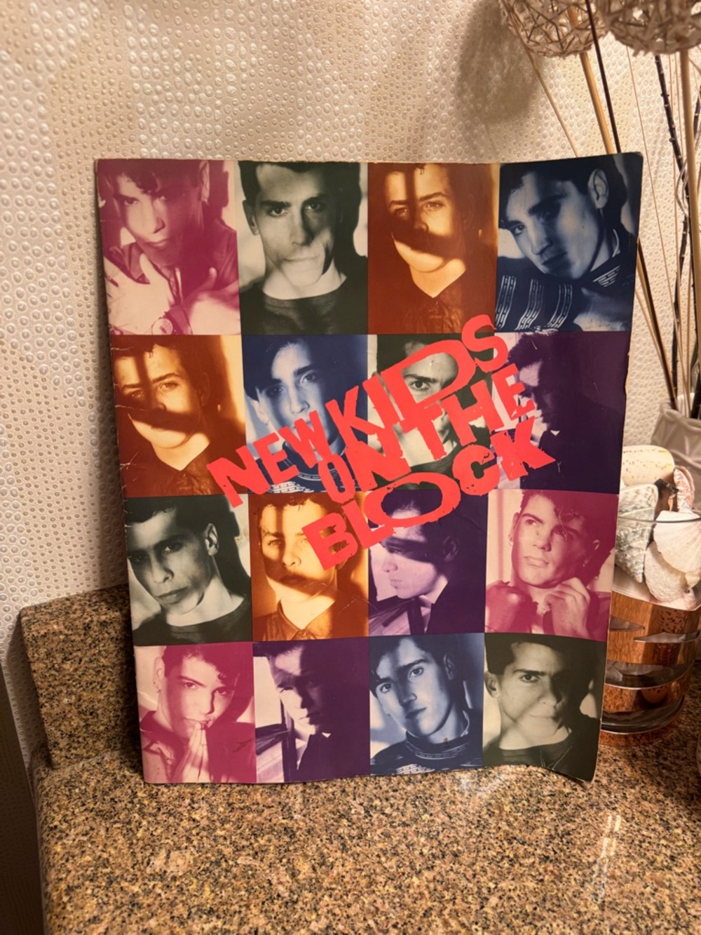 New Kids on the Block Vintage Album Poster - Multicolor Pop Art with photo